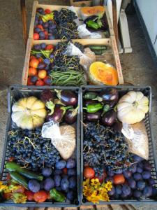 Gîtes des Cèdres