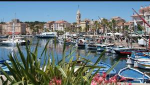 Appartements Bandol Appartement Terrasse : photos des chambres