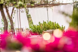 Casa Rural La Alameda