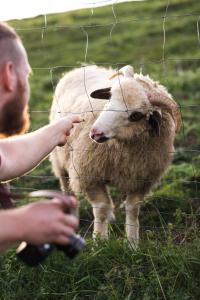 Pienińskie Herbarium Wellbeing Body & Mind Balance - Mini ZOO - Poczujesz folklor Pienin