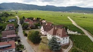 gîtes au domaine Greiner - Bennwihr