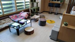 Otaru Cat Cafe & Stay Cultus's Home 1-Star Accommodation lobby