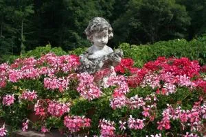 Chambres d'Hôtes "La Landre" - La Chapelle-aux-Bois