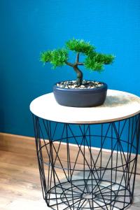 Appartements Appartement 