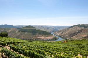 Casa De Casal De Loivos