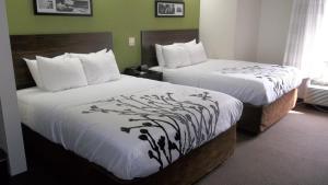 Queen Room with Two Queen Beds - Non-Smoking room in Sleep Inn Bryson City Cherokee