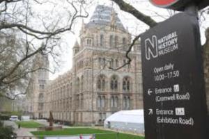 5 hviezdičkový apartmán The Kensington, Serviced Apartments Londýn Veľká Británia