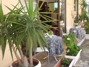Rachel Hotel Aegina Greece