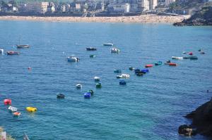 Appartements Le Braz Saint Lunaire : photos des chambres