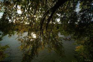 Appartements Gite bord de Marne Paris : photos des chambres