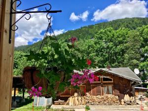 Appartements Chalet Marmotte 1 : photos des chambres