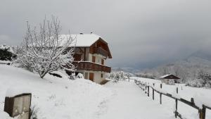 Chalets Maison Vinzier : photos des chambres