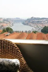 Historical Porto/Gaia Apartment - Candal