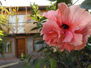 Buganvilla Guest House