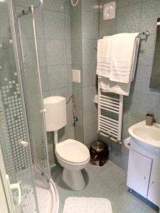 Camere De Inchiriat Carpati