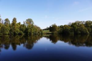 Lodges La Tiny du Parc : Saint Symphorien des Monts : photos des chambres