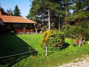 Guesthouse Ramović