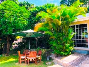 The Reef Palm