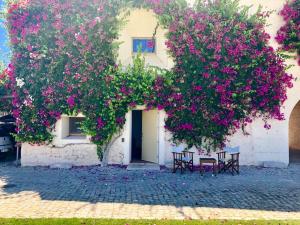 Bernardas Convent Apartment