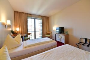Double Room room in Hotel Aspethera