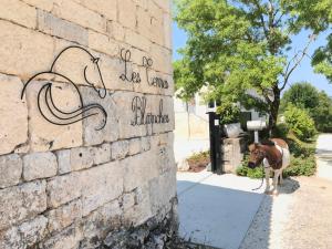 Maisons d'hotes Le Domaine des Terres Blanches : photos des chambres