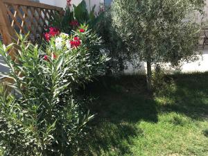 Maisons de vacances Le Venitien : photos des chambres