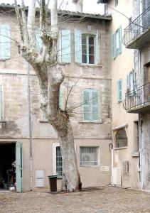 Appartements La Plaisance du Palais des Papes : photos des chambres