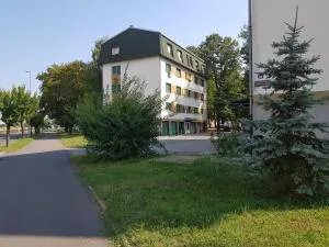 Apartment Petra - 维罗维蒂察