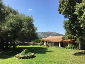 Agriturismo Su Pirastru - Loiri
