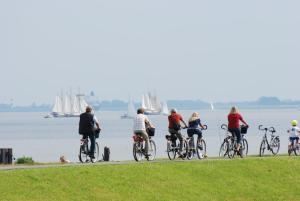 Ferienhaus Kiebitz mit Sauna