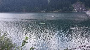 Ferienwohnung Tobias