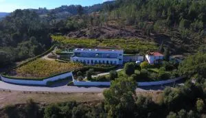 Quinta de Beiredos - Carrapatelo