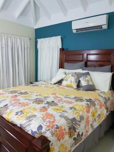 Coolshade Villa Mahoe III Ocho Rios