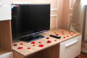 Apartment in the city center