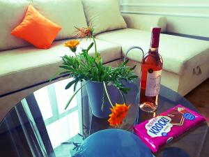 Apartment in the city center