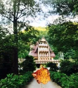 Pension Casa Vanatorilor - 伯伊莱戈沃拉