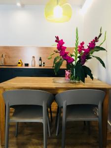 Piper Zajezdnia Blue