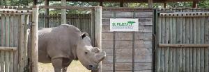 Ol Pejeta Holiday Villas
