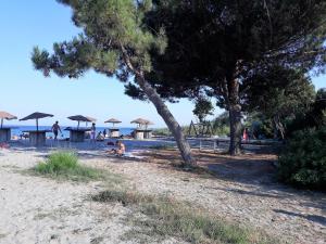 Appartements les pieds dans l'eau les Marines de Moriani 4 couchages : photos des chambres