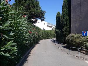 Appartements les pieds dans l'eau les Marines de Moriani 4 couchages : photos des chambres