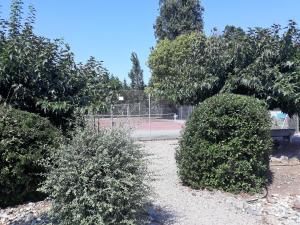 Appartements les pieds dans l'eau les Marines de Moriani 4 couchages : photos des chambres