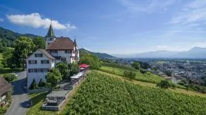 Schloss Weinstein - Altstätten