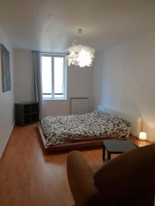 Grand appartement en centre ville
