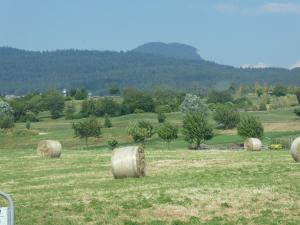 Appartamento a 1000 metri