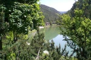 Appartamento a 1000 metri