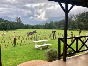Franschhoek Country Cottages
