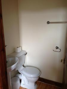 Single Room room in Ambrose Hotel