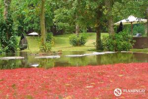 FLAMINGOS Villa Happy BT