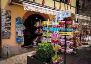 Appartements Gite St Leon a Eguisheim : photos des chambres