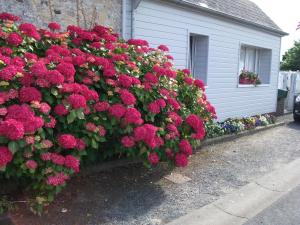 Appartements Les Hortensias : photos des chambres